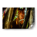 Mirada ecuestre - KevOlveRod | Cuadro decorativo de Canvas Lab