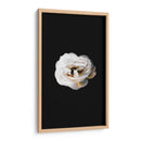 Una flor blanca | Cuadro decorativo de Canvas Lab
