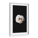 Una flor blanca | Cuadro decorativo de Canvas Lab