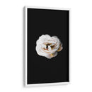 Una flor blanca | Cuadro decorativo de Canvas Lab