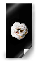 Una flor blanca | Cuadro decorativo de Canvas Lab