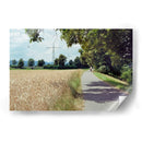 Paisaje veraniego - Diananormal | Cuadro decorativo de Canvas Lab