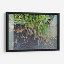 Día lluvioso - Diananormal | Cuadro decorativo de Canvas Lab