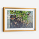 Día lluvioso - Diananormal | Cuadro decorativo de Canvas Lab