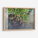 Día lluvioso - Diananormal | Cuadro decorativo de Canvas Lab