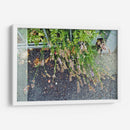 Día lluvioso - Diananormal | Cuadro decorativo de Canvas Lab