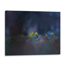 Viernes triste II - Diananormal | Cuadro decorativo de Canvas Lab