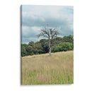 Árbol - Diananormal | Cuadro decorativo de Canvas Lab