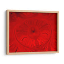 Runa roja - Rodrigo Barrera | Cuadro decorativo de Canvas Lab