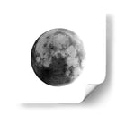 LUNA BLANCA - SoupierVaro | Cuadro decorativo de Canvas Lab