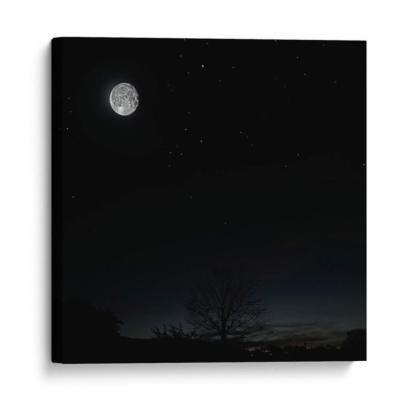 La Luna y el árbol - SoupierVaro | Cuadro decorativo de Canvas Lab