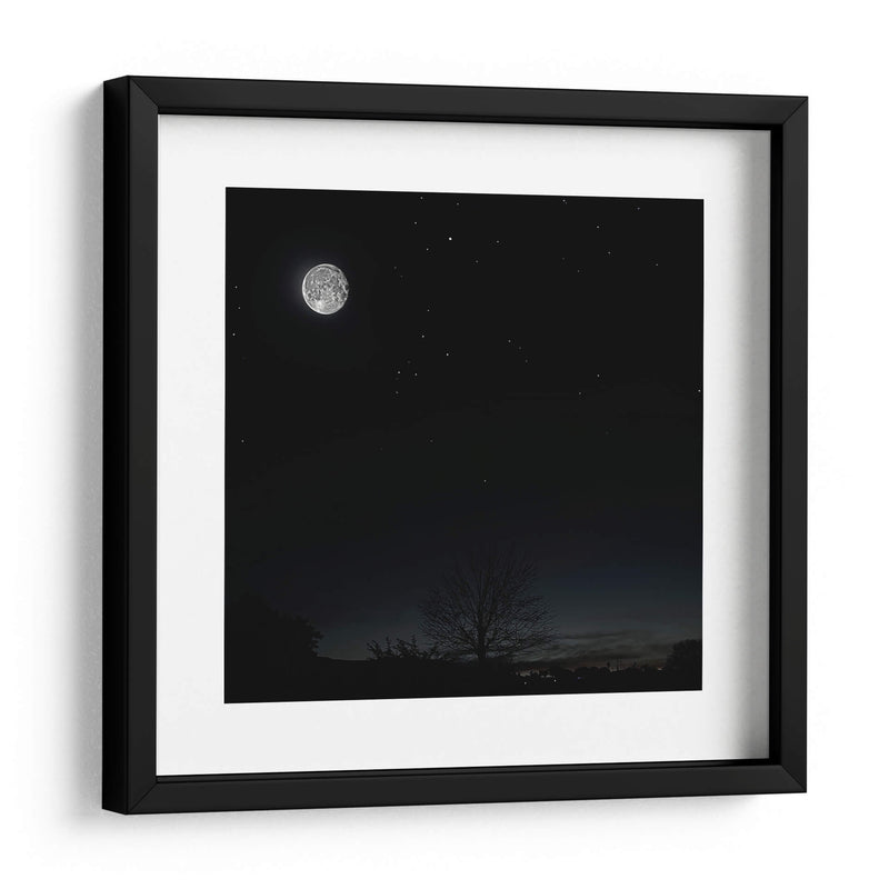 La Luna y el árbol - SoupierVaro | Cuadro decorativo de Canvas Lab