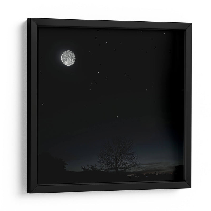 La Luna y el árbol - SoupierVaro | Cuadro decorativo de Canvas Lab