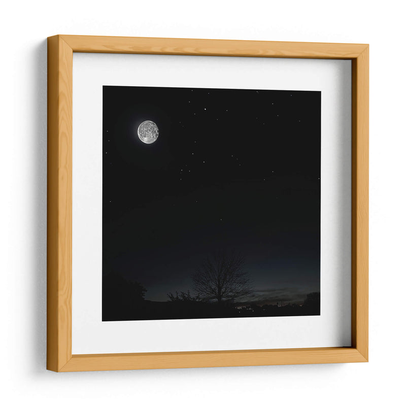 La Luna y el árbol - SoupierVaro | Cuadro decorativo de Canvas Lab