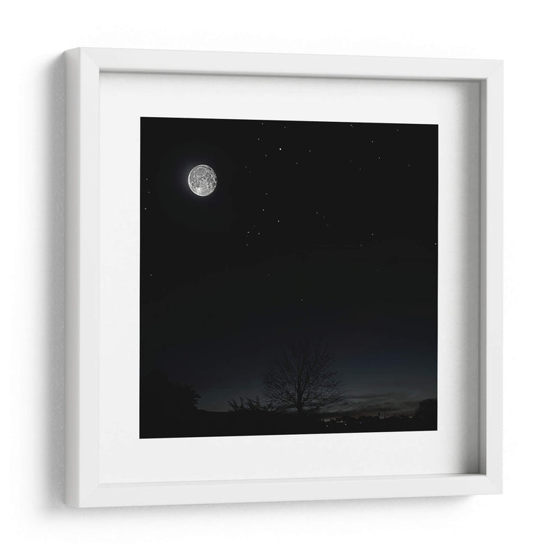 La Luna y el árbol - SoupierVaro | Cuadro decorativo de Canvas Lab