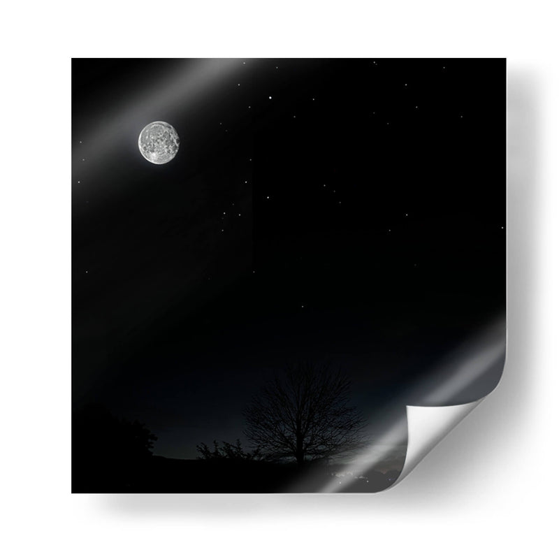 La Luna y el árbol - SoupierVaro | Cuadro decorativo de Canvas Lab