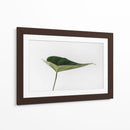 Una hoja | Cuadro decorativo de Canvas Lab