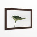 Una hoja | Cuadro decorativo de Canvas Lab