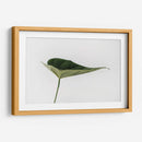Una hoja | Cuadro decorativo de Canvas Lab