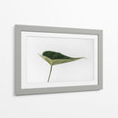 Una hoja | Cuadro decorativo de Canvas Lab