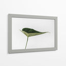 Una hoja | Cuadro decorativo de Canvas Lab