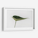 Una hoja | Cuadro decorativo de Canvas Lab