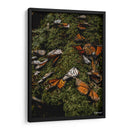 Vuela  - Misael Dz | Cuadro decorativo de Canvas Lab