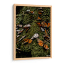 Vuela  - Misael Dz | Cuadro decorativo de Canvas Lab