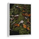 Vuela  - Misael Dz | Cuadro decorativo de Canvas Lab