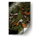 Vuela  - Misael Dz | Cuadro decorativo de Canvas Lab