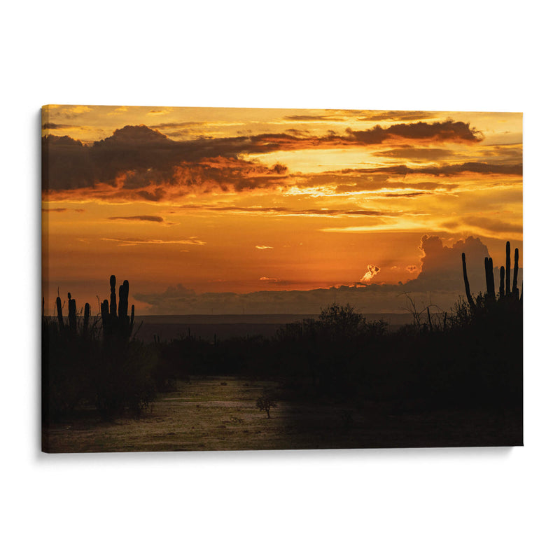 Baja California Sur  - Emmanuel Ramírez | Cuadro decorativo de Canvas Lab