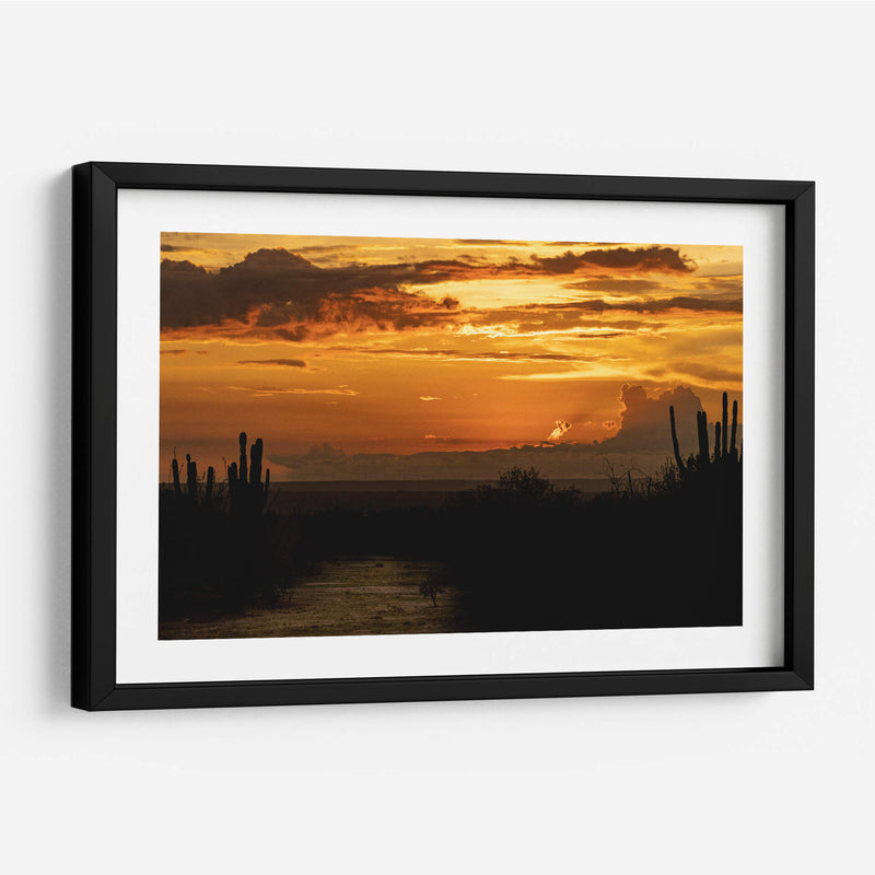 Baja California Sur  - Emmanuel Ramírez | Cuadro decorativo de Canvas Lab