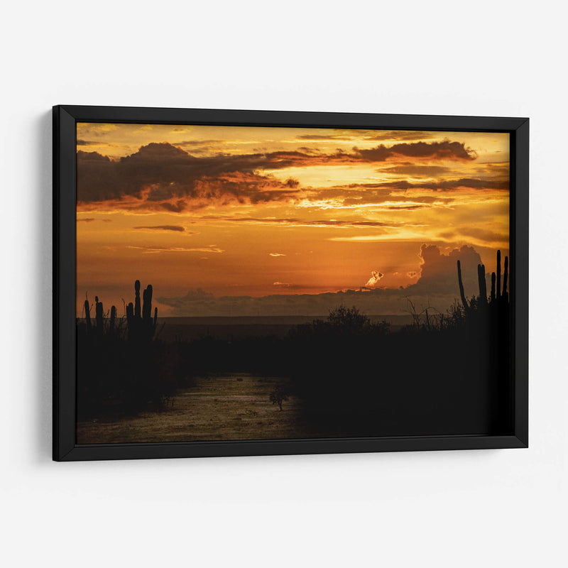 Baja California Sur  - Emmanuel Ramírez | Cuadro decorativo de Canvas Lab