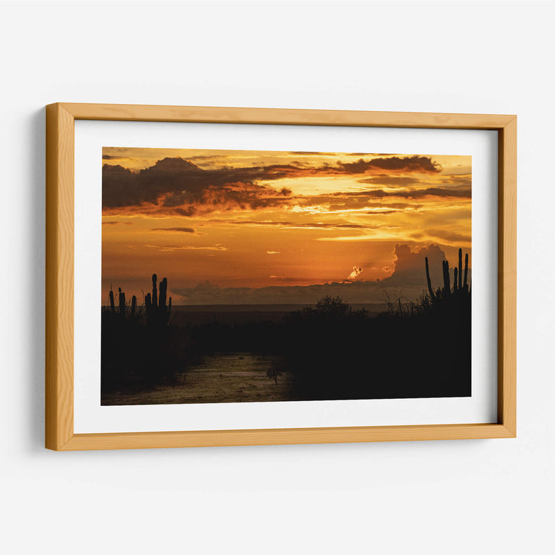 Baja California Sur  - Emmanuel Ramírez | Cuadro decorativo de Canvas Lab