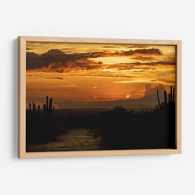 Baja California Sur  - Emmanuel Ramírez | Cuadro decorativo de Canvas Lab