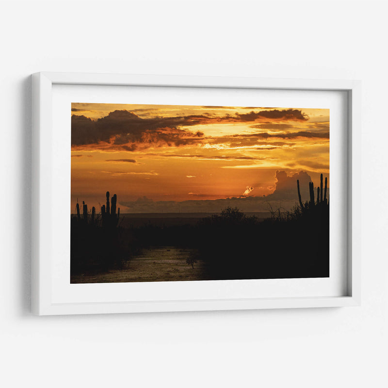 Baja California Sur  - Emmanuel Ramírez | Cuadro decorativo de Canvas Lab