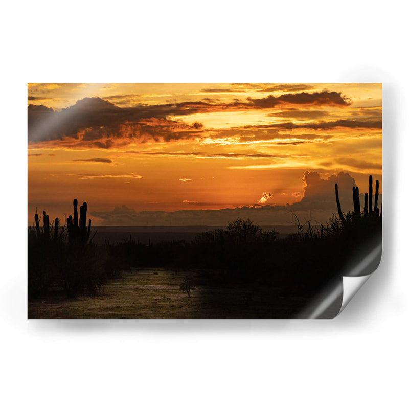 Baja California Sur  - Emmanuel Ramírez | Cuadro decorativo de Canvas Lab