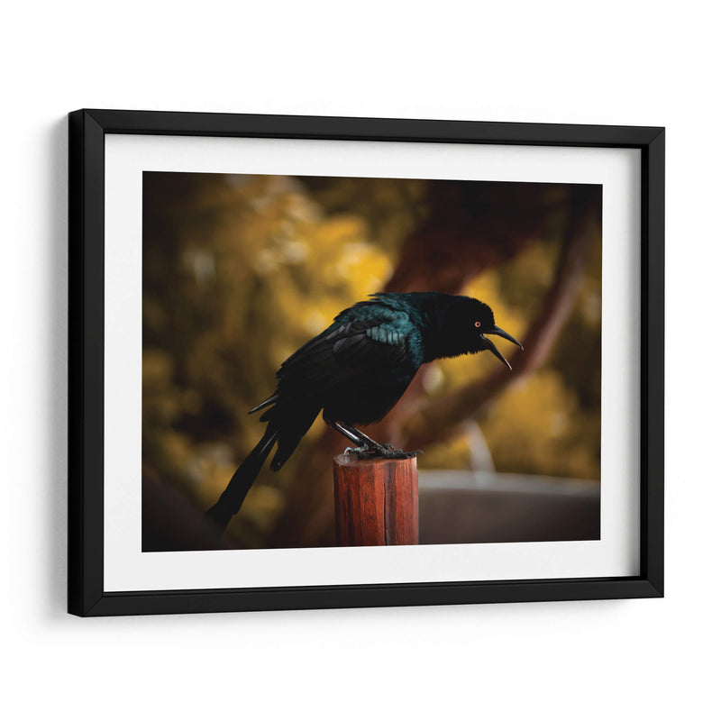 Cuervo en Amarillos - Chepo Murua | Cuadro decorativo de Canvas Lab