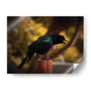 Cuervo en Amarillos - Chepo Murua | Cuadro decorativo de Canvas Lab