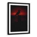 Pájaro bobo en Isla Isabel, Nayarit I - Jaime López Portillo  | Cuadro decorativo de Canvas Lab