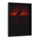 Pájaro bobo en Isla Isabel, Nayarit I - Jaime López Portillo  | Cuadro decorativo de Canvas Lab