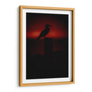 Pájaro bobo en Isla Isabel, Nayarit I - Jaime López Portillo  | Cuadro decorativo de Canvas Lab