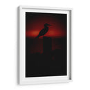 Pájaro bobo en Isla Isabel, Nayarit I - Jaime López Portillo  | Cuadro decorativo de Canvas Lab