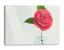 Una sola rosa | Cuadro decorativo de Canvas Lab