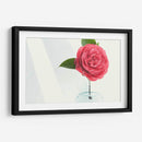 Una sola rosa | Cuadro decorativo de Canvas Lab