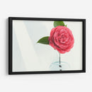 Una sola rosa | Cuadro decorativo de Canvas Lab