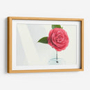 Una sola rosa | Cuadro decorativo de Canvas Lab