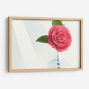 Una sola rosa | Cuadro decorativo de Canvas Lab