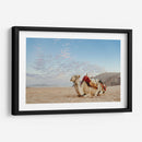 Camello en Wadi Rum, Jordania - Emmanuel Ramírez | Cuadro decorativo de Canvas Lab