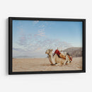 Camello en Wadi Rum, Jordania - Emmanuel Ramírez | Cuadro decorativo de Canvas Lab